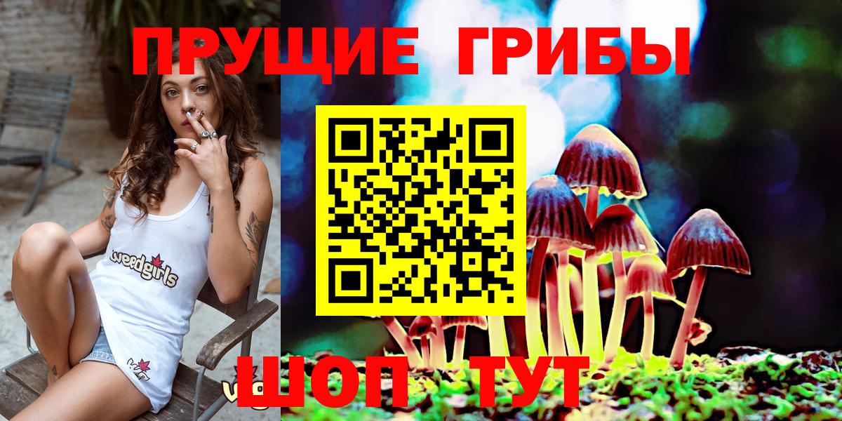 Галлюциногенные грибы ЛСД Удомля