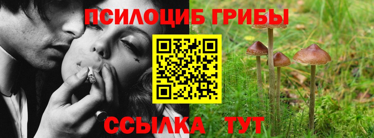 Удомля  Псилоцибиновые грибы мухоморы  Вход с VPN 